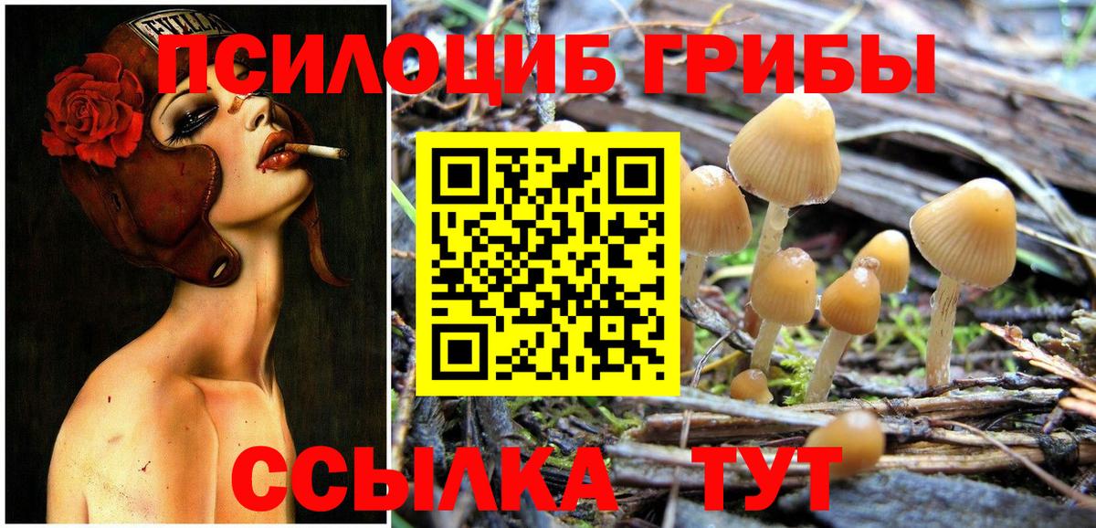 Первоуральск  даркнет сайт  Вход с VPN  Псилоцибиновые грибы Cubensis 